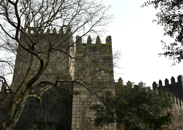 Castelo de Guimarães entre árvores